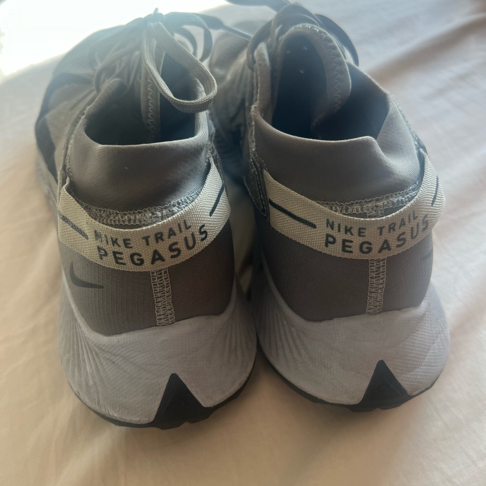 Nike Trail Pegasus Sneakers in Gray and White